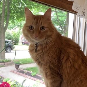 Meet your Posher, Jacki